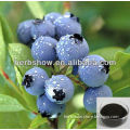 High Quality Bilberry extract anthocyanidins